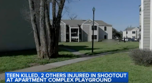 One Teen Dead, Two Injured in Shooting at Willow Green Apartment Complex in Houston, TX.